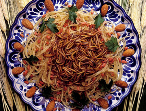 حشرات خوردنی