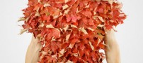 تی شرت های طراحی شده با برگ گیاهان