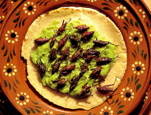 حشرات خوردنی