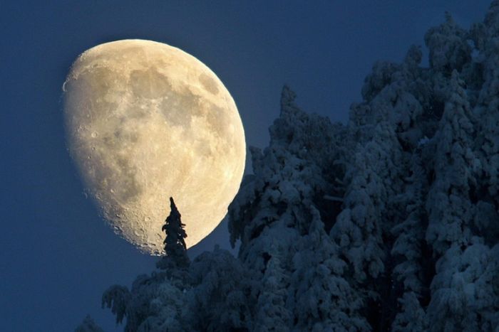 عکسهای جالب و دیدنی شنبه : 4 دی 1389