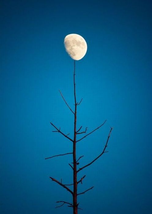عکسهای دیدنی پنجشنبه : 11 آذر 1389