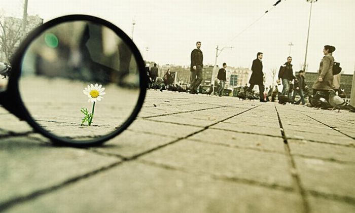عکسهای جالب و دیدنی شنبه : 20 آذر 1389