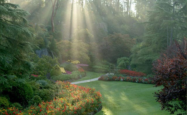 عکس هایی از زیباترین و بزرگترین باغ گل دنیا