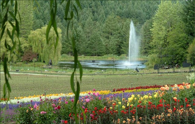 عکس هایی از زیباترین و بزرگترین باغ گل دنیا