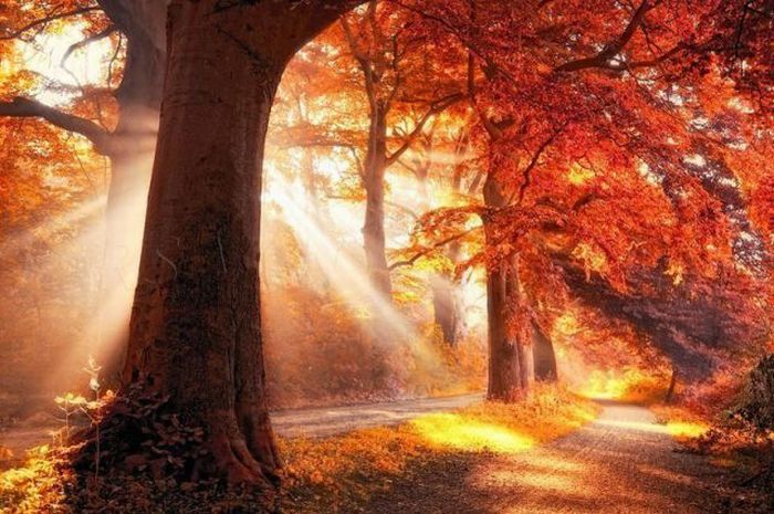 عکسهای دیدنی جمعه :5 آذر 1389