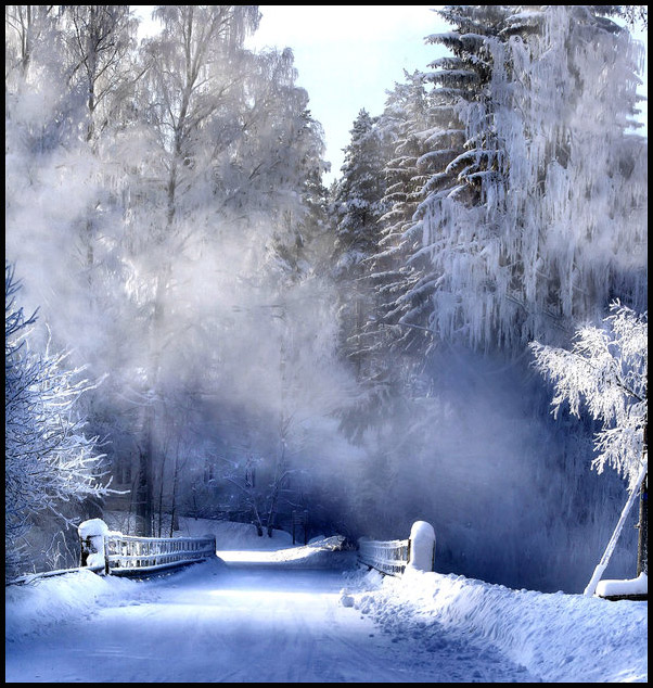 عکس هایی از طبیعت زمستانی اروپا