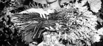عکس هایی از آدری هپبورن، زیباترین زن قرن گذشته!!