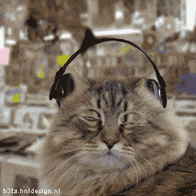 سبکهای مختلف گوش دادن موسیقی! (تصویری)