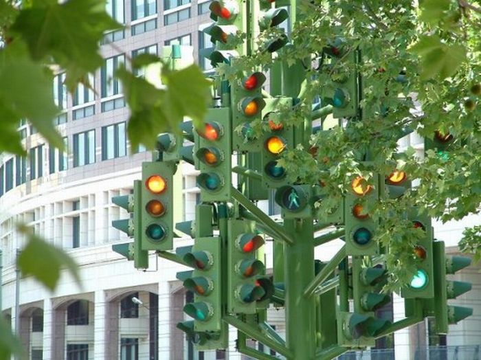 عکسهای جالب و دیدنی شنبه : 18 دی 1389
