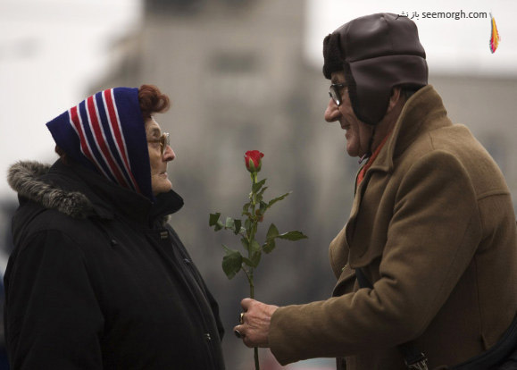 جذاب ترین عکس های سال 2010