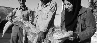 زن ایرانی و راه اندازی مزرعه پرورش تمساح!!