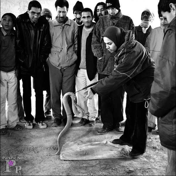 زنان ایرانی در نگاهی متفاوت ( تصویری )