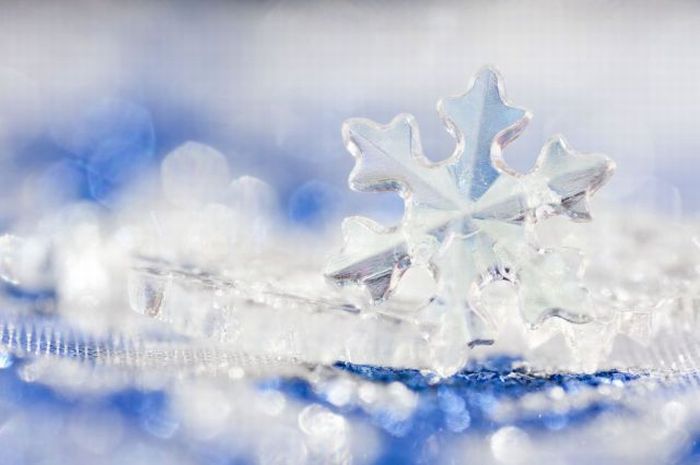 عکسهای جالب و دیدنی شنبه : 18 دی 1389