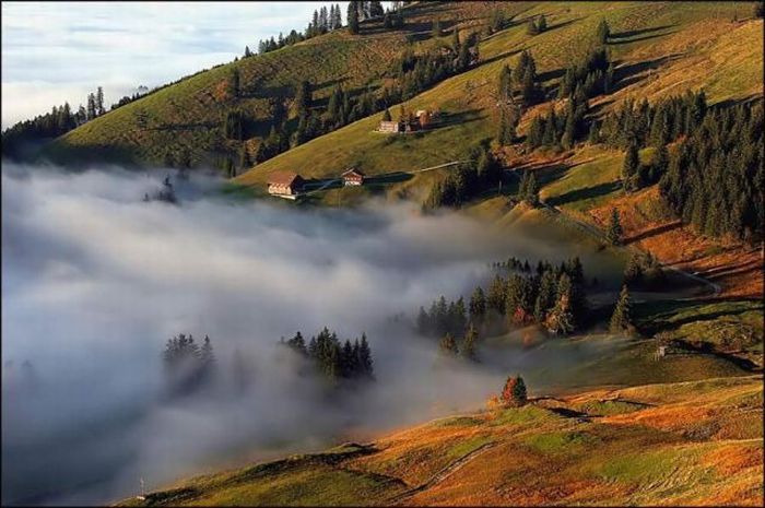 عکسهای جالب و دیدنی پنجشنبه : 16 دی 1389