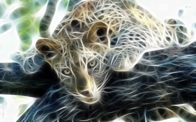 عکس های شگفت انگیر 3 بعدی از حیوانات